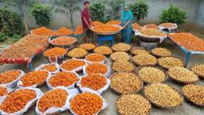 2000KG INDIAN SWEETS | VEG VILLAGE FOOD