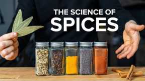 The Beginner's Guide to Cooking with Spices (with Testing)