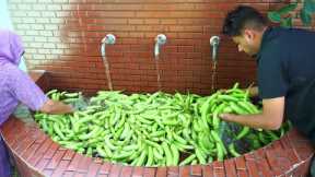 Green Eggplant Cooking - Indian spicy Eggplant